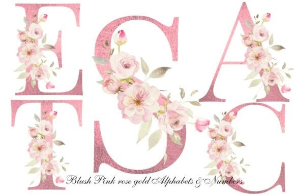 Download Blush Pink Rose Floral Alphabet Clipart - Ink Collection