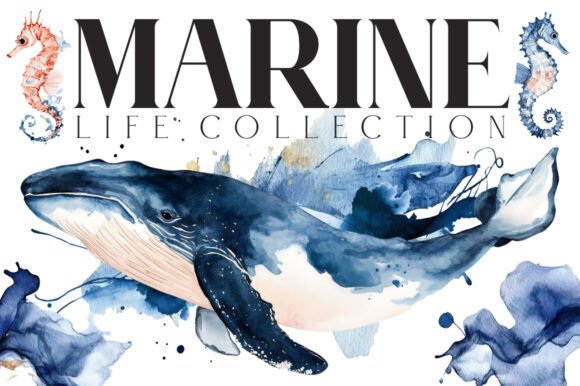 Download Marine Life Watercolor - Marine Collection
